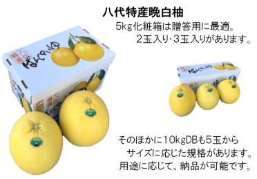 八代地域農業協同組合 （晩白柚） 八代特産晩白柚 / 県南フードバレー